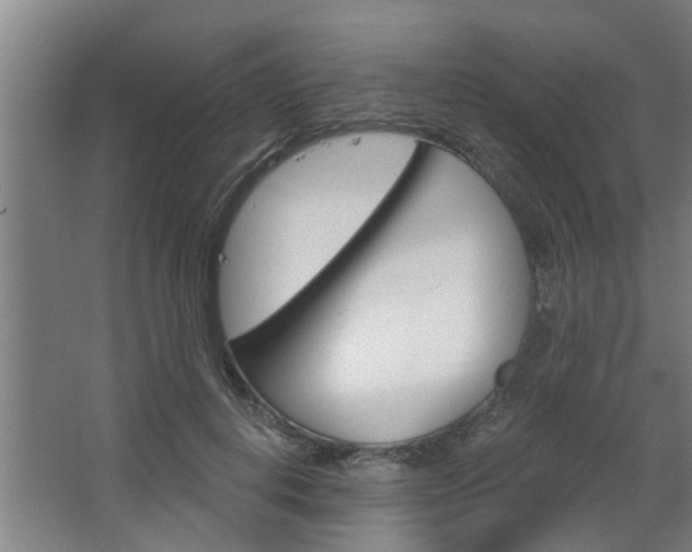 X0000068730648200604280951