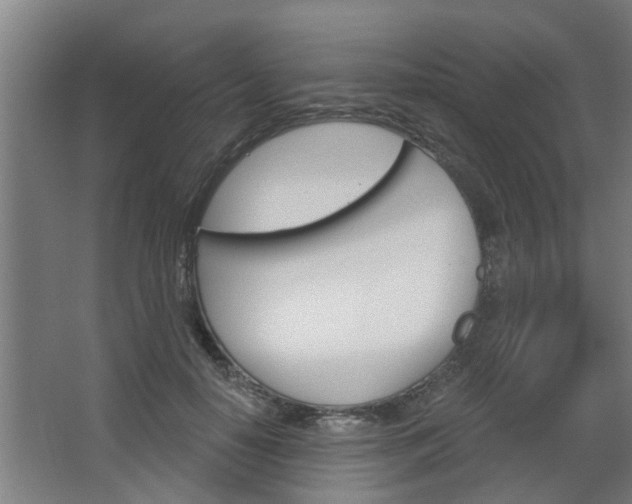 X0000068730650200604280951