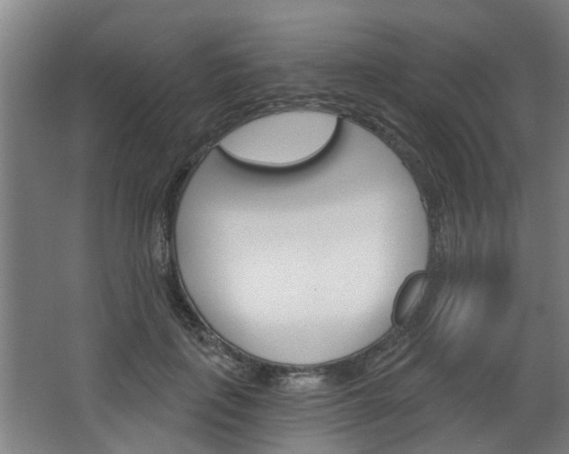 X0000068730651200604280951