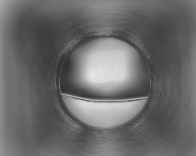 X0000068730681200604280951