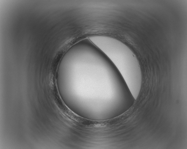 X0000068730692200604280951