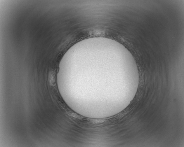 X0000068730709200604280950