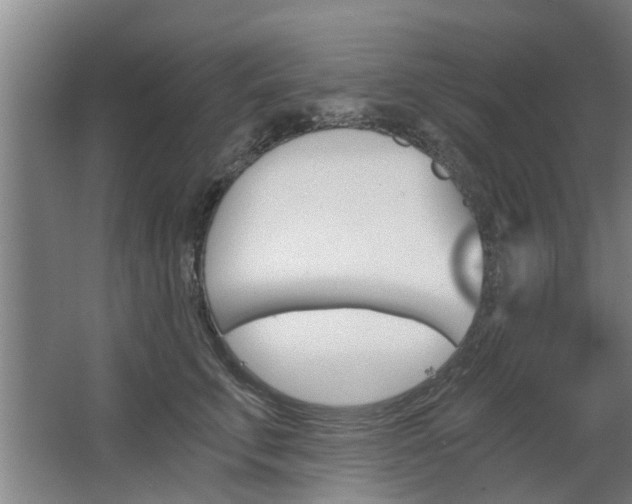 X0000068730711200604280950