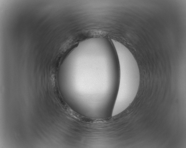 X0000068730716200604280950