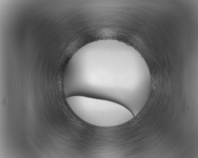 X0000068730718200604280950