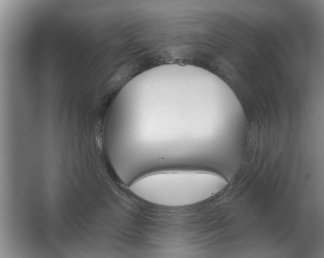 X0000068730719200604280950