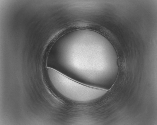 X0000068730732200604280949
