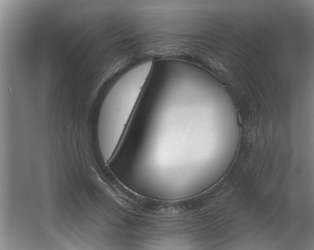 X0000068730735200604280949