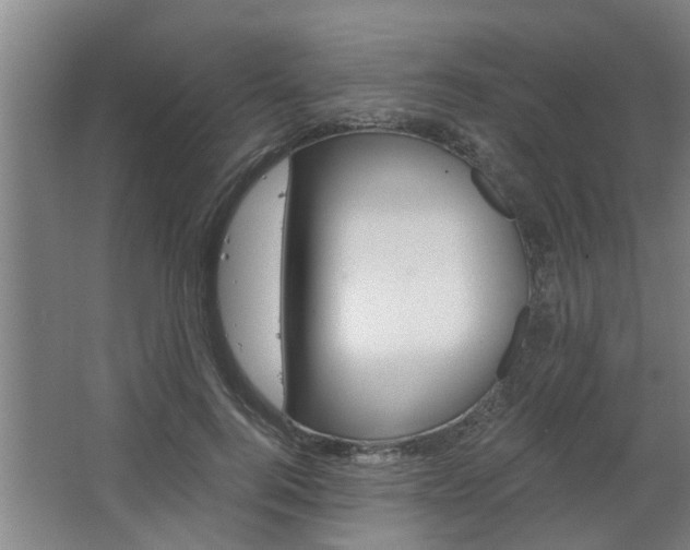 X0000068730744200604280950
