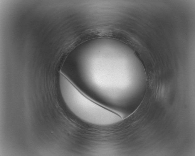 X0000068730748200604280950