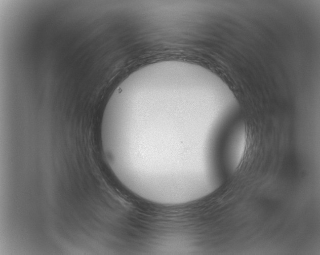 X0000068730750200604280950