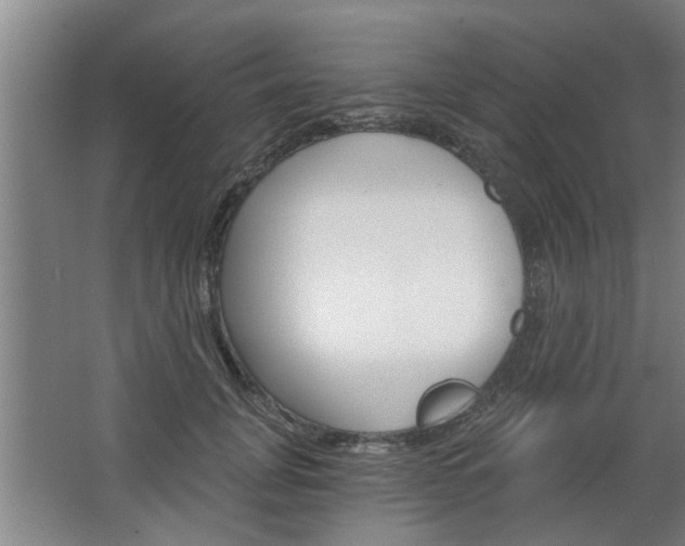 X0000068730751200604280950