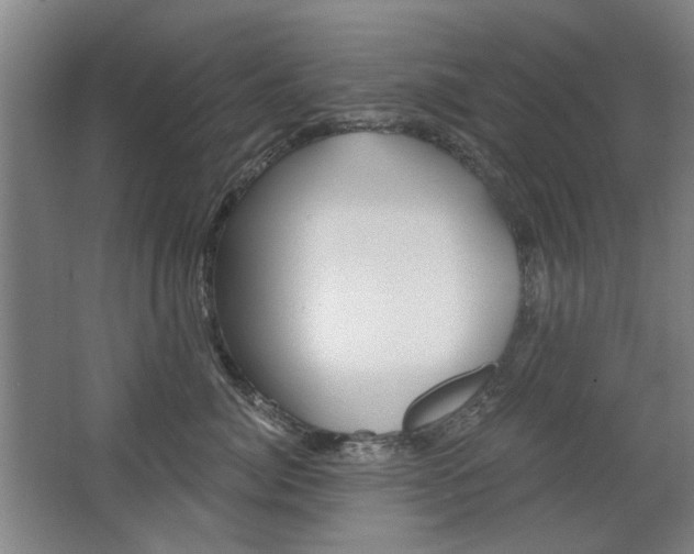 X0000068730764200604280950