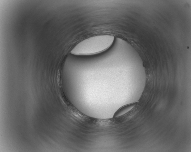 X0000068730767200604280950