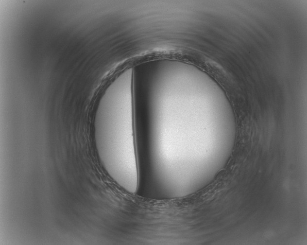 X0000068730776200604280949