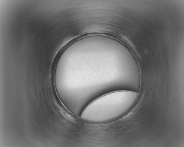 X0000068730779200604280949