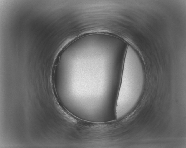 X0000068730797200604280949
