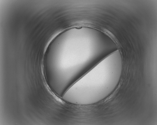 X0000068730812200604280948