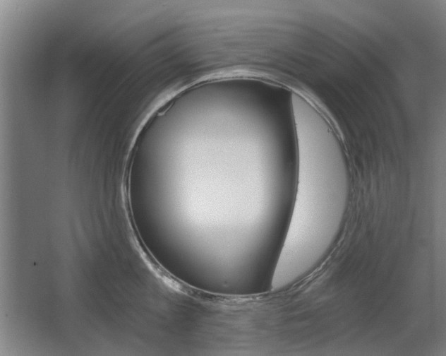 X0000068730813200604280948