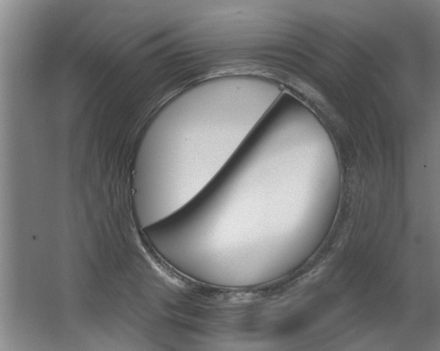 X0000068730841200604280948