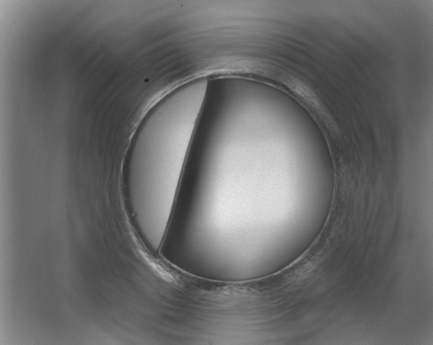 X0000068730842200604280948