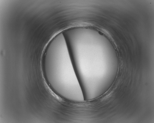 X0000068730843200604280948