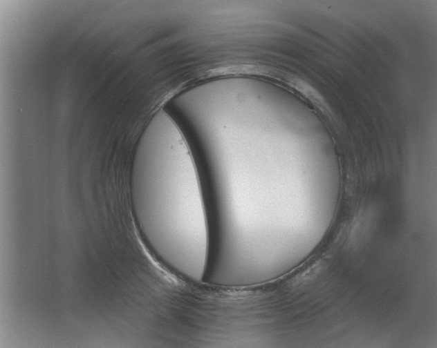 X0000068730849200604280948