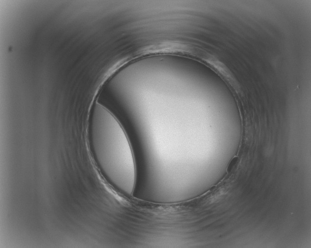 X0000068730850200604280948