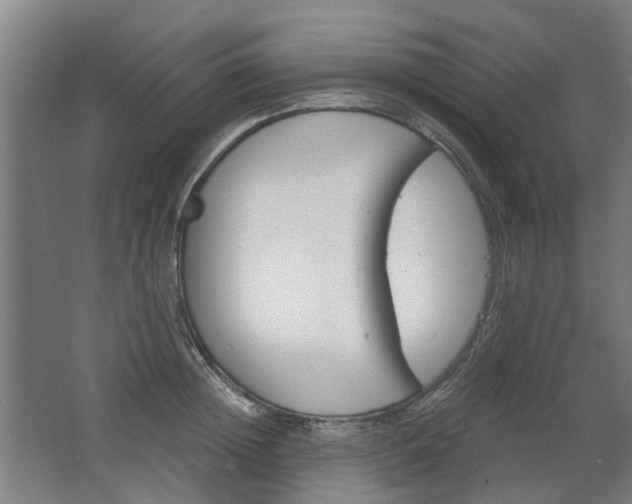 X0000068730852200604280948
