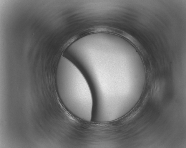 X0000068730857200604280948