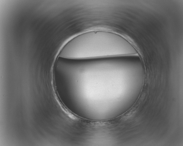 X0000068730862200604280948