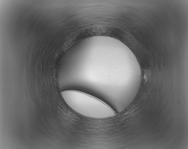 X0000068730867200604280948
