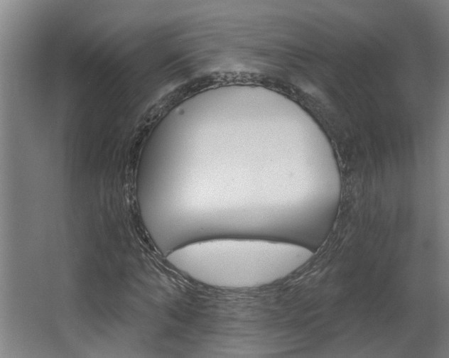 X0000068730870200604280948