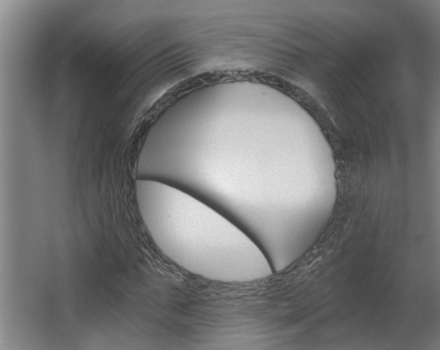 X0000068730871200604280947