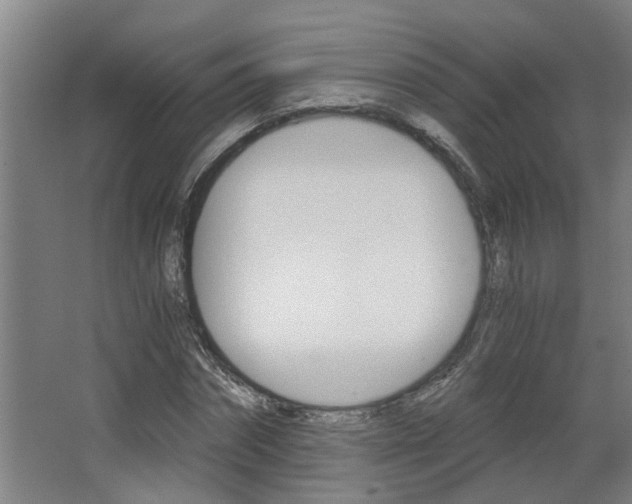 X0000068730874200604280947