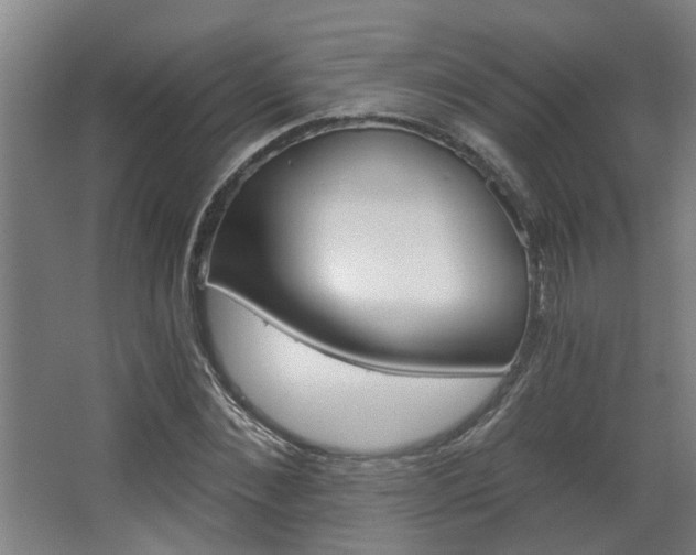 X0000068730876200604280947