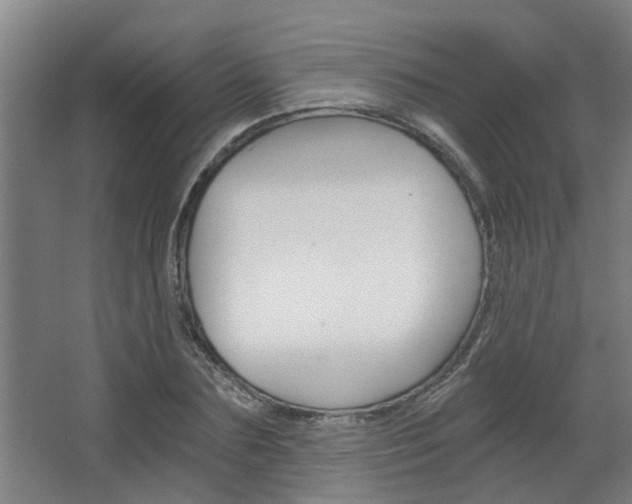 X0000068730883200604280947