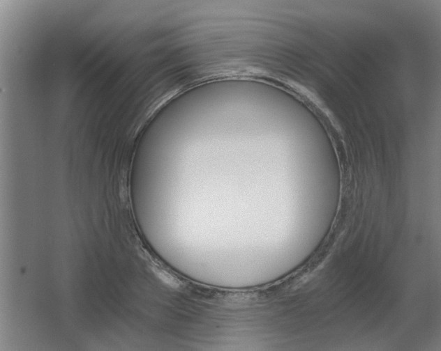 X0000068730889200604280947