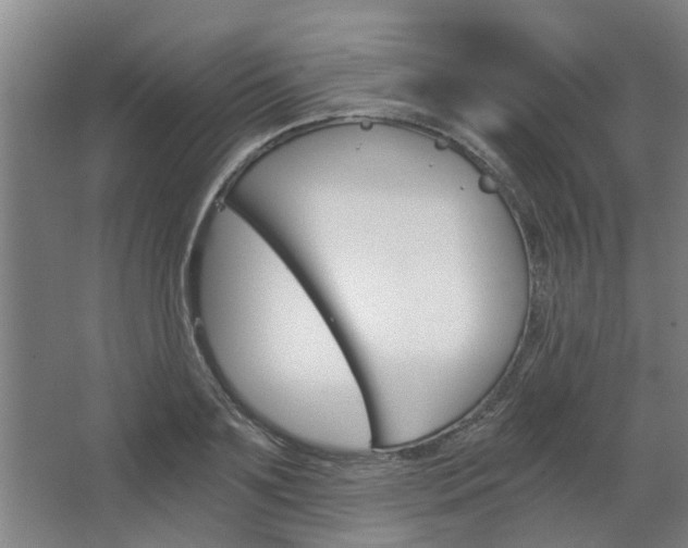 X0000068730891200604280947