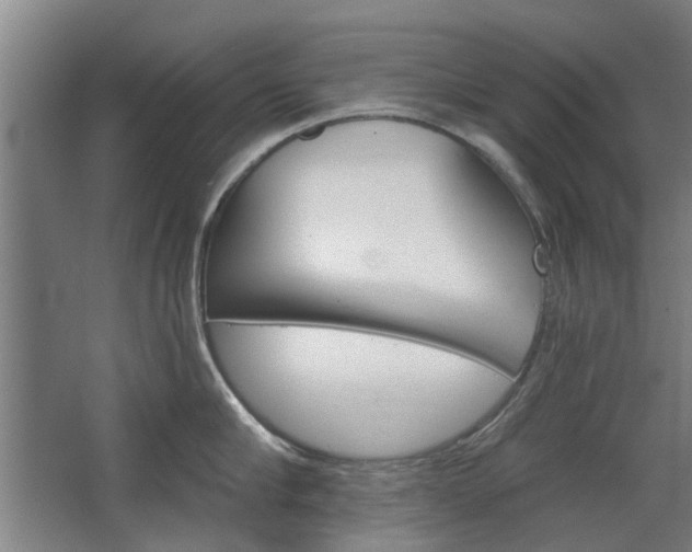 X0000068730910200604280947