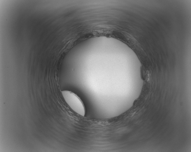 X0000068730915200604280946