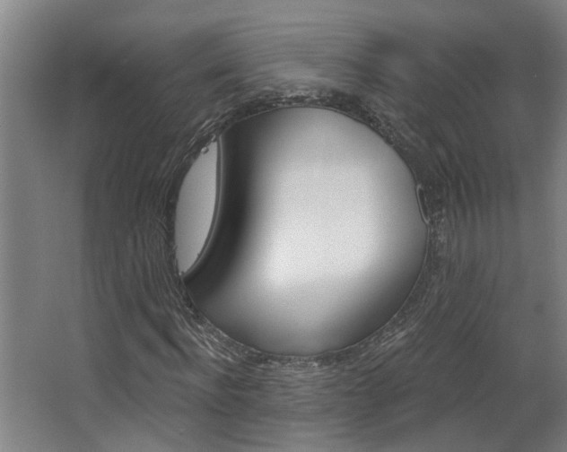 X0000068730916200604280946