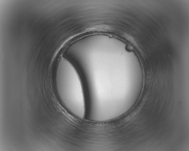 X0000068730923200604280946