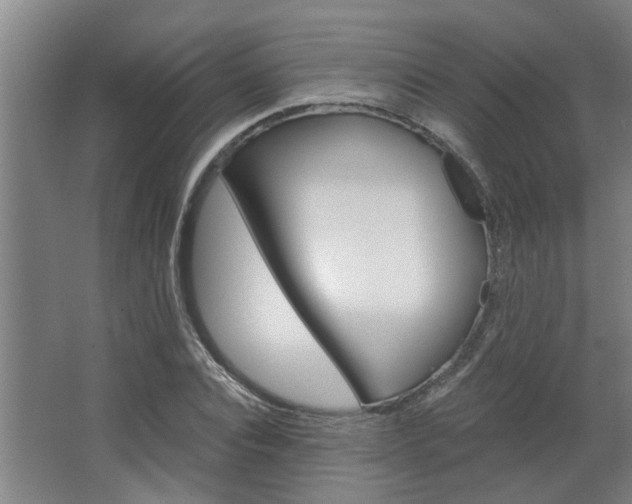 X0000068730928200604280946
