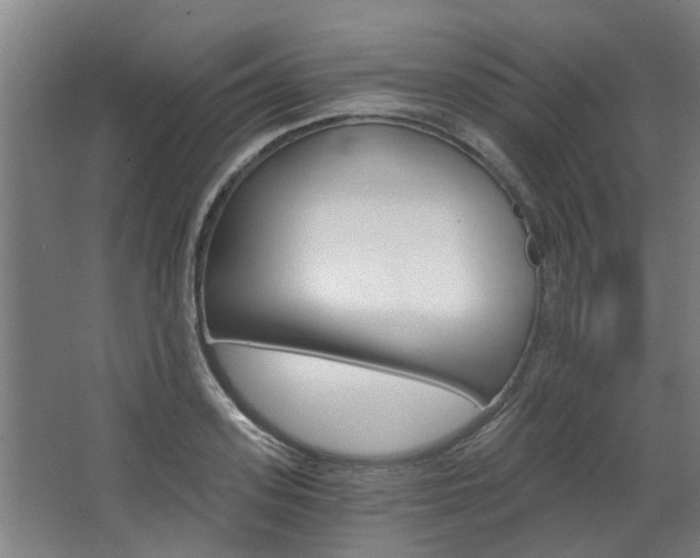 X0000068730939200604280946