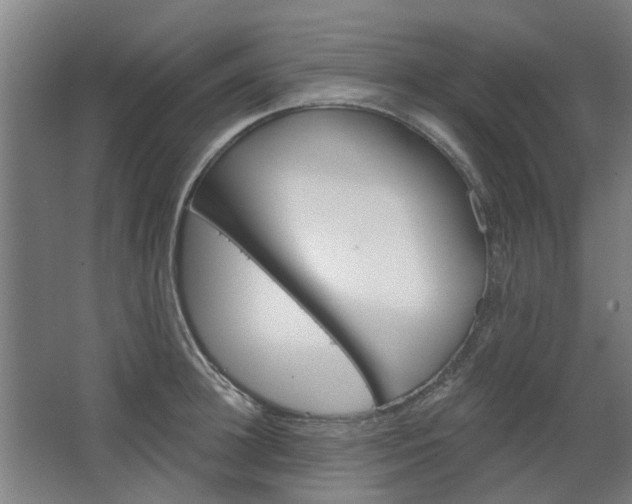 X0000068730948200604280947