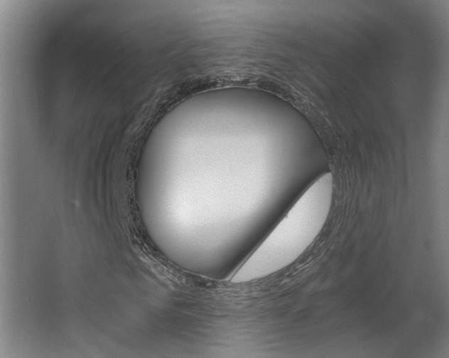 X0000068730961200604280946
