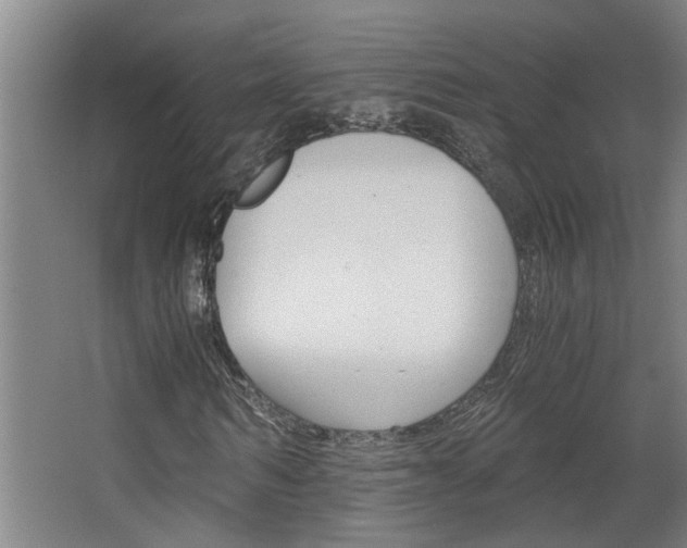 X0000068730962200604280946