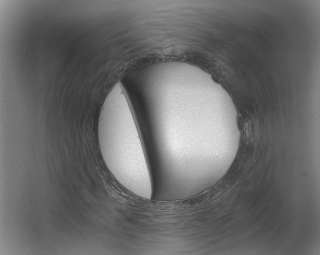 X0000068730963200604280946