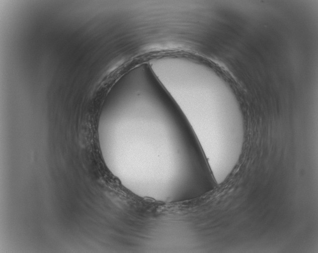 X0000068730967200604280946
